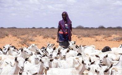 Drought and displacement affect millions in Somalia and Ethiopia